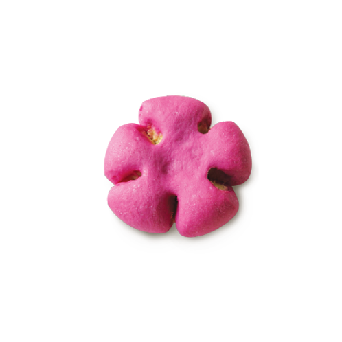 Korean Vegan Sweet Potato Bread, ORGAMOON Cactus Fruit Dietary Sweet Potato Bread